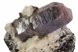 Corundum (Sapphire) Crystal in Mica Schist Matrix - Norway #94434-2